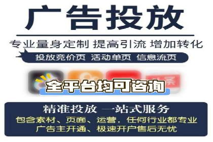 百度竞价策略解析：案例分析及优化建议